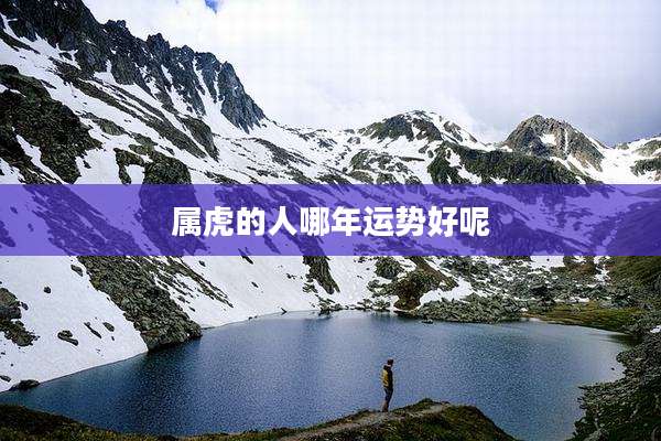 属虎的人哪年运势好呢