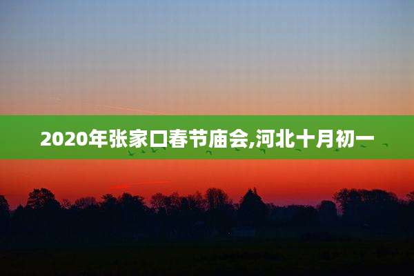 2020年张家口春节庙会,河北十月初一