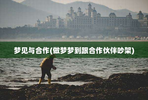 梦见与合作(做梦梦到跟合作伙伴吵架)