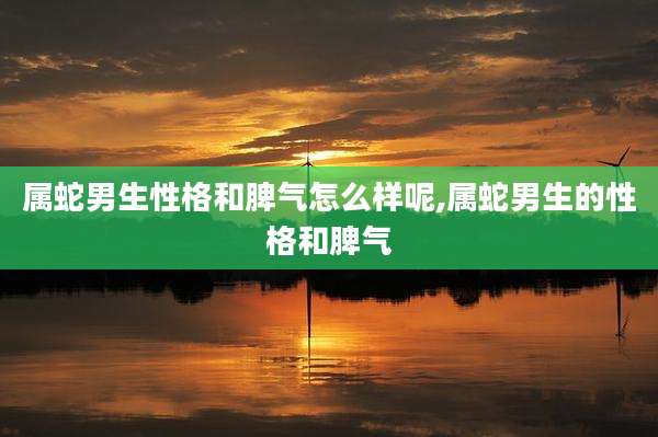 属蛇男生性格和脾气怎么样呢,属蛇男生的性格和脾气