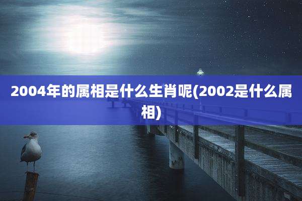 2004年的属相是什么生肖呢(2002是什么属相)