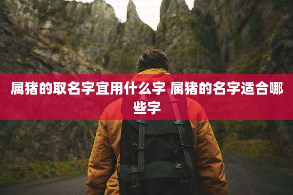 属猪的取名字宜用什么字 属猪的名字适合哪些字