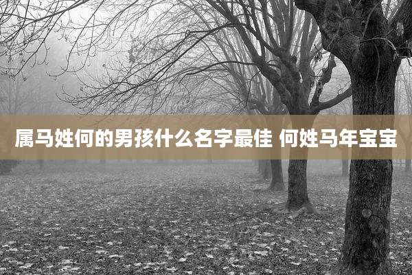 属马姓何的男孩什么名字最佳 何姓马年宝宝