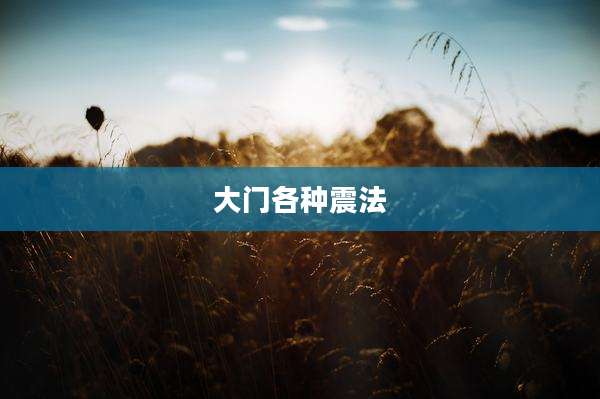 大门各种震法