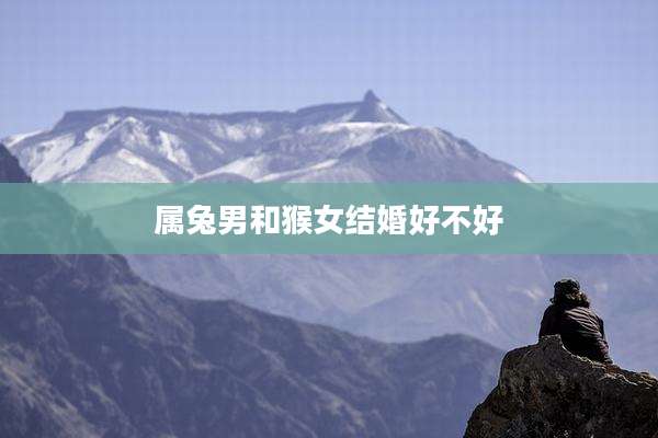 属兔男和猴女结婚好不好