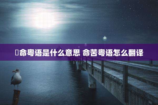 攞命粤语是什么意思 命苦粤语怎么翻译