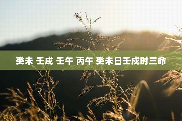 癸未 壬戌 壬午 丙午 癸未日壬戍时三命