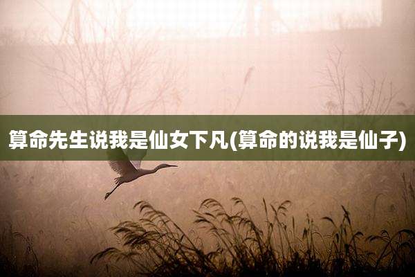 算命先生说我是仙女下凡(算命的说我是仙子)