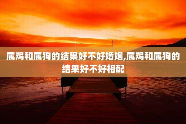 属鸡和属狗的结果好不好婚姻,属鸡和属狗的结果好不好相配