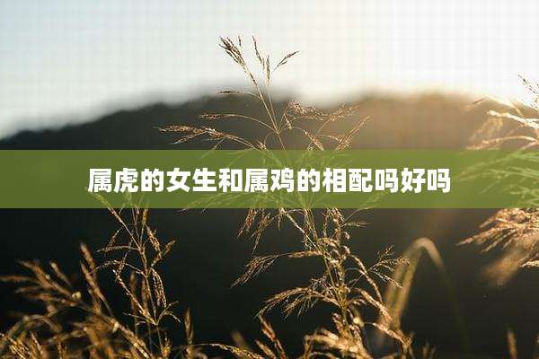 属虎的女生和属鸡的相配吗好吗