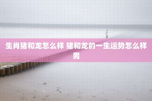 生肖猪和龙怎么样 猪和龙的一生运势怎么样男