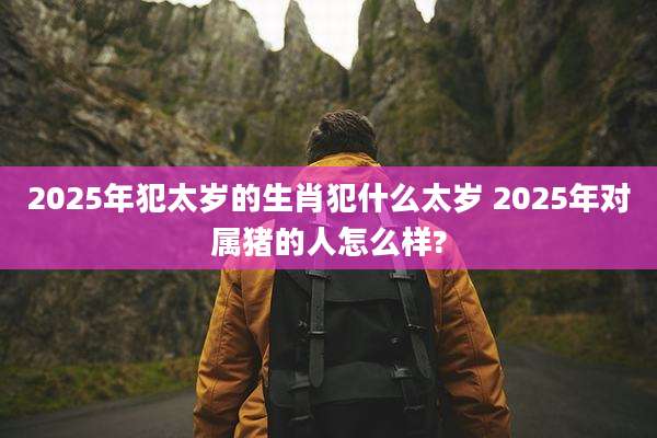 2025年犯太岁的生肖犯什么太岁 2025年对属猪的人怎么样?