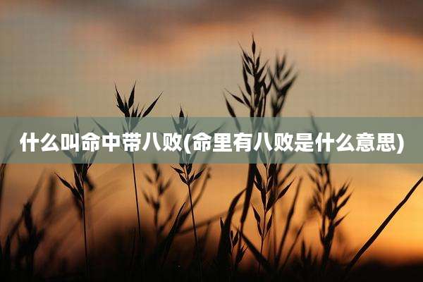 什么叫命中带八败(命里有八败是什么意思)