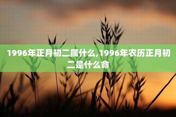 1996年正月初二属什么,1996年农历正月初二是什么命