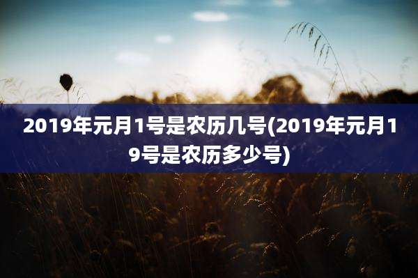 2019年元月1号是农历几号(2019年元月19号是农历多少号)