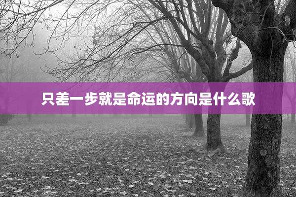 只差一步就是命运的方向是什么歌