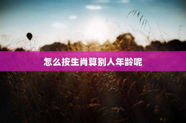 怎么按生肖算别人年龄呢