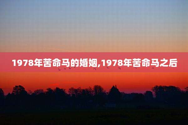 1978年苦命马的婚姻,1978年苦命马之后