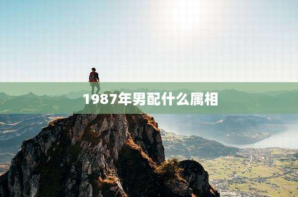 1987年男配什么属相