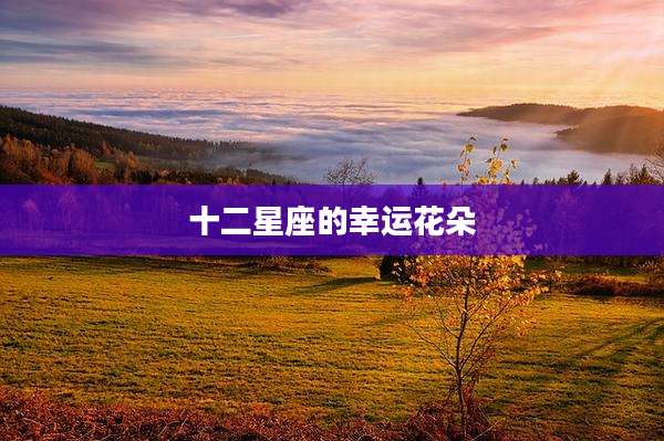 十二星座的幸运花朵