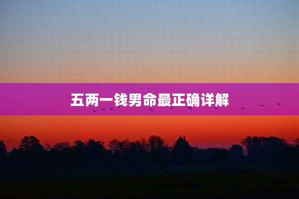 五两一钱男命最正确详解