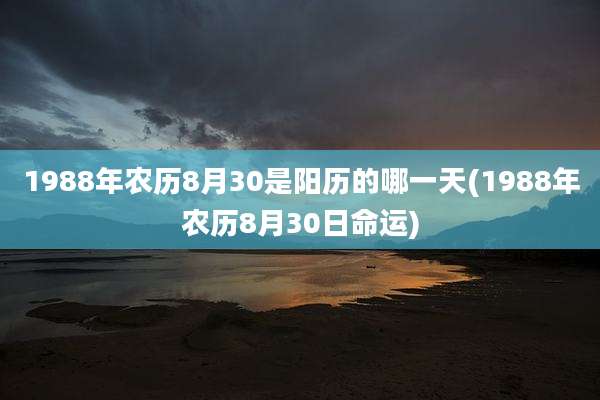 1988年农历8月30是阳历的哪一天(1988年农历8月30日命运)
