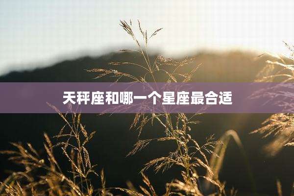天秤座和哪一个星座最合适