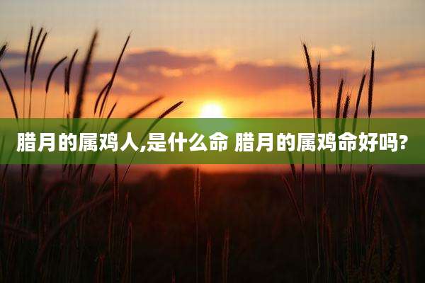 腊月的属鸡人,是什么命 腊月的属鸡命好吗?