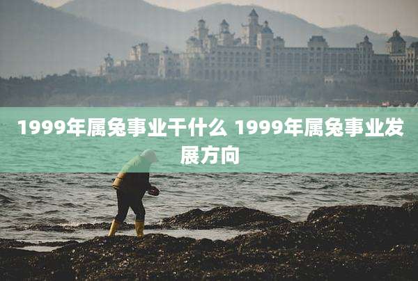 1999年属兔事业干什么 1999年属兔事业发展方向