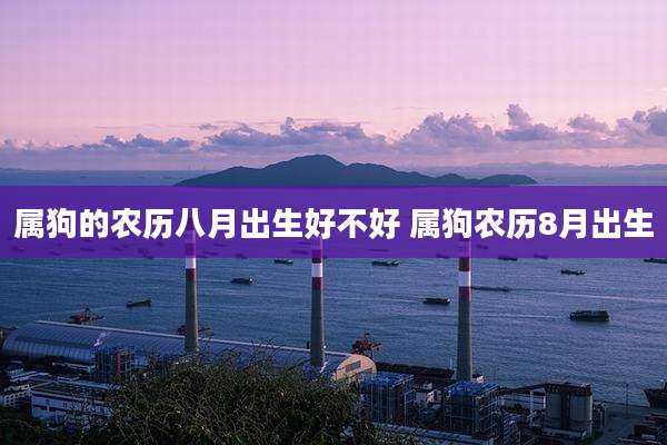 属狗的农历八月出生好不好 属狗农历8月出生