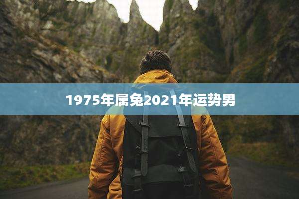 1975年属兔2021年运势男