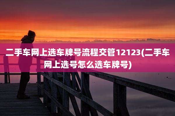 二手车网上选车牌号流程交管12123(二手车网上选号怎么选车牌号)