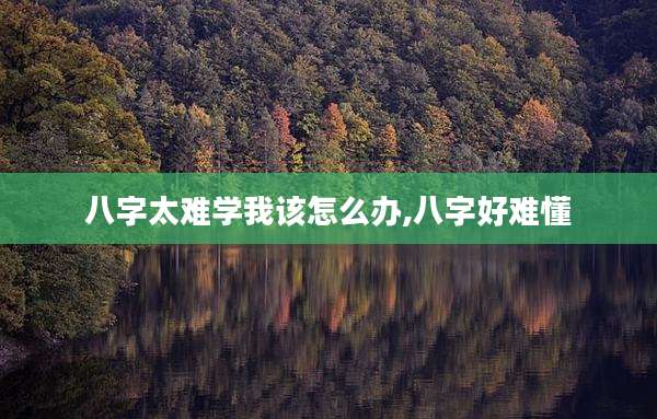 八字太难学我该怎么办,八字好难懂