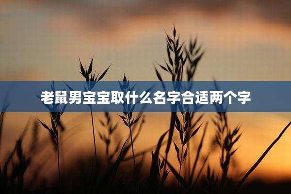 老鼠男宝宝取什么名字合适两个字
