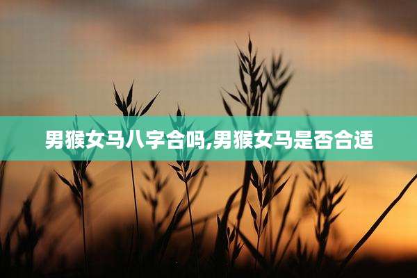 男猴女马八字合吗,男猴女马是否合适