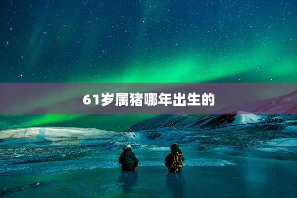 61岁属猪哪年出生的