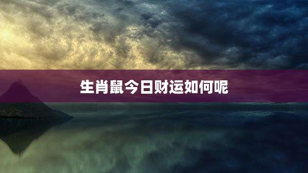 生肖鼠今日财运如何呢