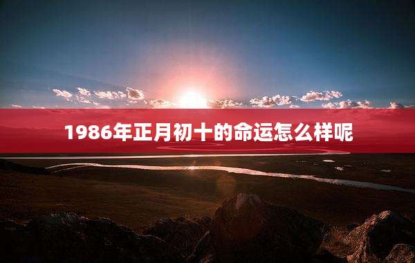 1986年正月初十的命运怎么样呢