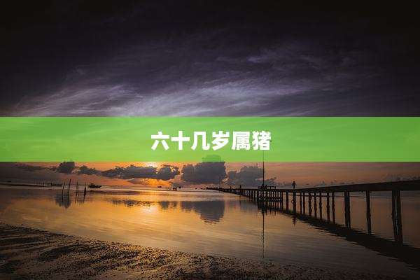 六十几岁属猪