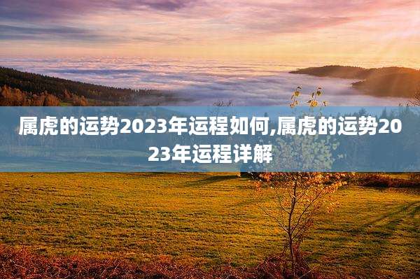 属虎的运势2023年运程如何,属虎的运势2023年运程详解