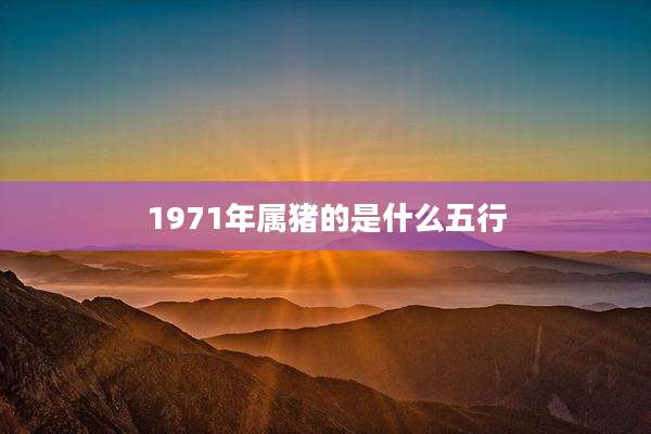 1971年属猪的是什么五行