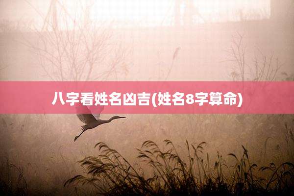 八字看姓名凶吉(姓名8字算命)