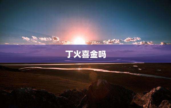 丁火喜金吗