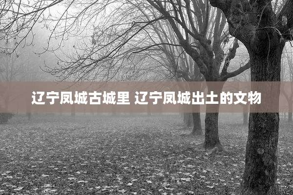 辽宁凤城古城里 辽宁凤城出土的文物