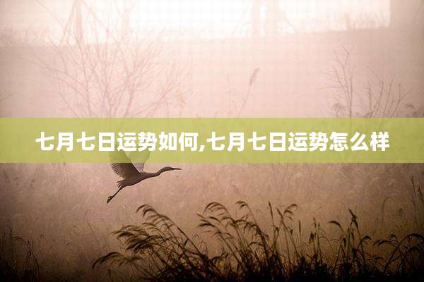 七月七日运势如何,七月七日运势怎么样