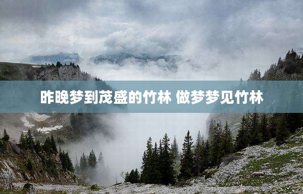 昨晚梦到茂盛的竹林 做梦梦见竹林