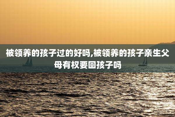 被领养的孩子过的好吗,被领养的孩子亲生父母有权要回孩子吗
