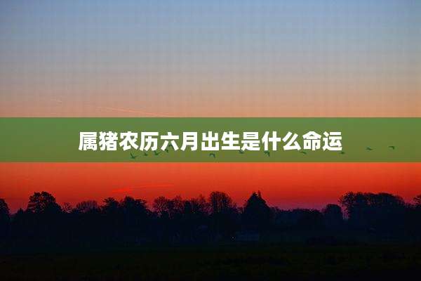 属猪农历六月出生是什么命运