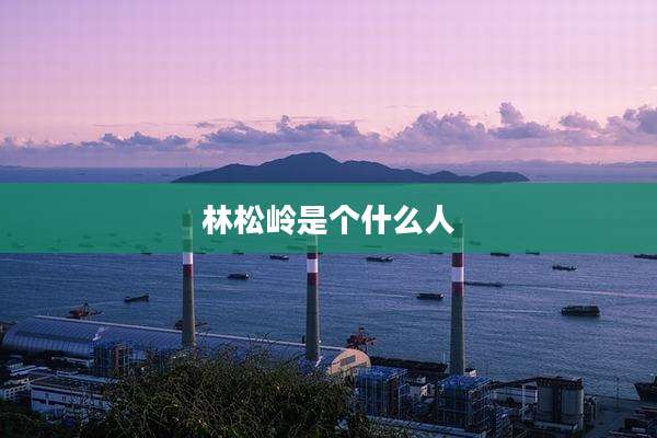 林松岭是个什么人