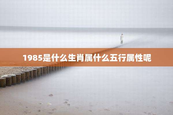 1985是什么生肖属什么五行属性呢